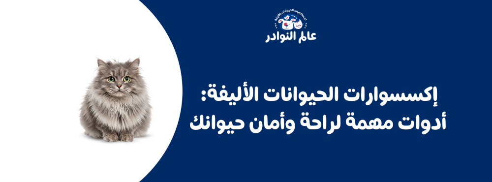 إكسسوارات الحيوانات الأليفة: أدوات مهمة لراحة وأمان حيوانك