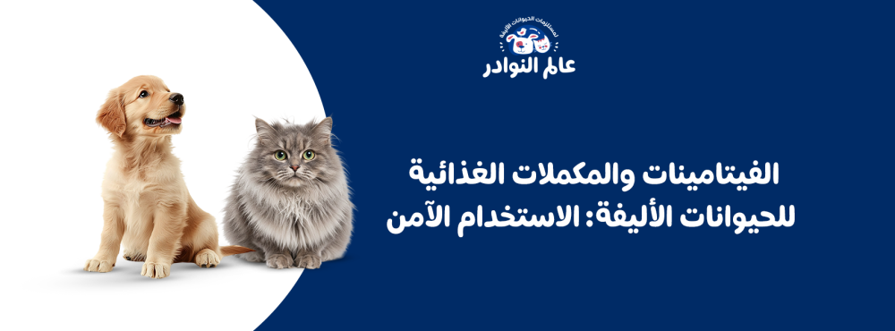 الفيتامينات والمكملات الغذائية للحيوانات الأليفة: الاستخدام الآمن