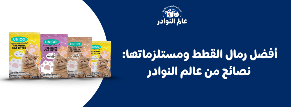 أفضل رمال القطط ومستلزماتها: نصائح من عالم النوادر