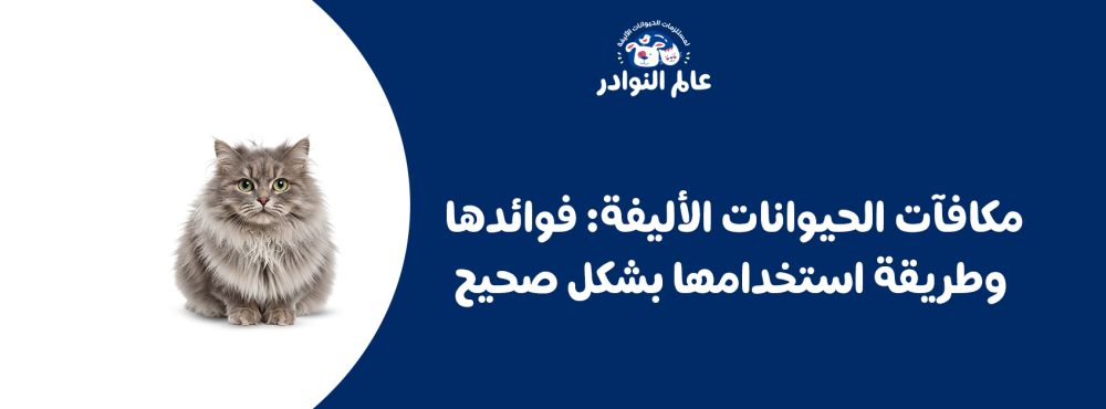مكافآت الحيوانات الأليفة: فوائدها وطريقة استخدامها بشكل صحيح