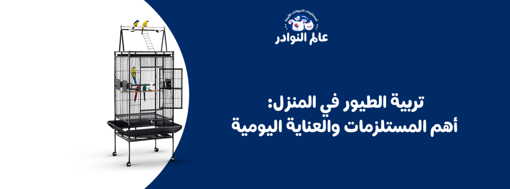 تربية الطيور في المنزل: أهم المستلزمات والعناية اليومية