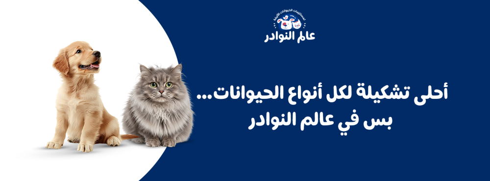 أحلى تشكيلة لكل أنواع الحيوانات… بس في عالم النوادر