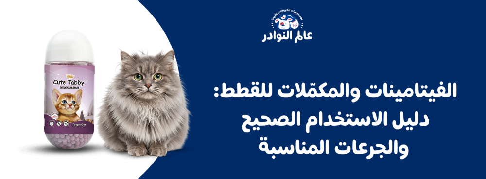 الفيتامينات والمكمّلات للقطط: دليل الاستخدام الصحيح والجرعات المناسبة