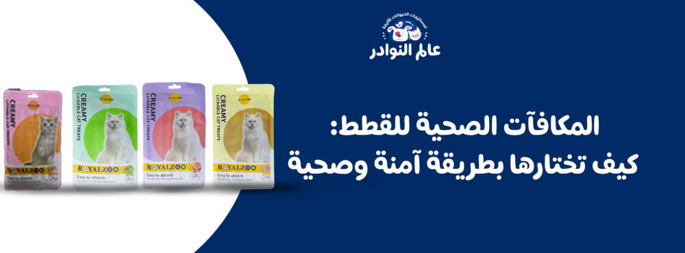 المكافآت الصحية للقطط: كيف تختارها بطريقة آمنة وصحية