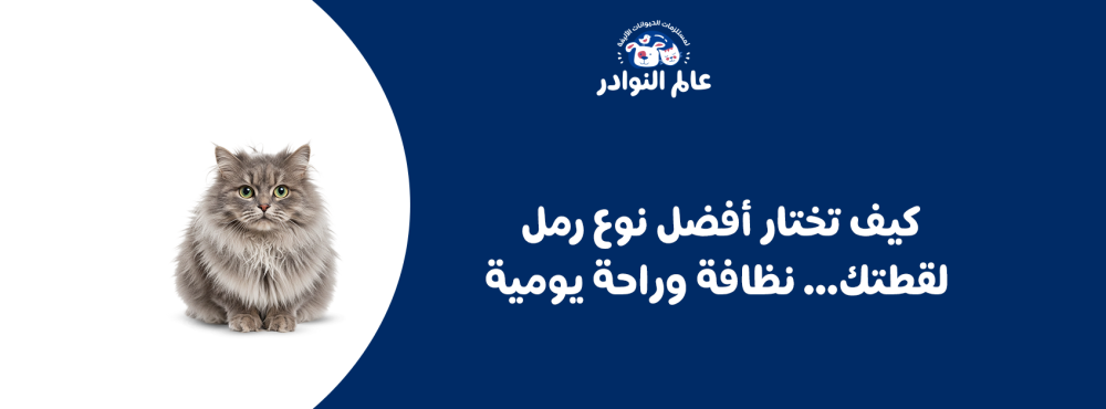 كيف تختار أفضل نوع رمل لقطتك… نظافة وراحة يومية