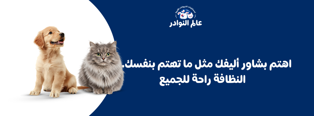 اهتم بشاور أليفك مثل ما تهتم بنفسك… النظافة راحة للجميع