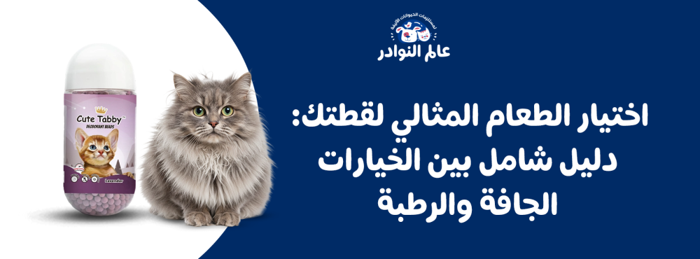 اختيار الطعام المثالي لقطتك: دليل شامل بين الخيارات الجافة والرطبة