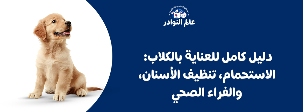 دليل كامل للعناية بالكلاب: الاستحمام، تنظيف الأسنان، والفراء الصحي