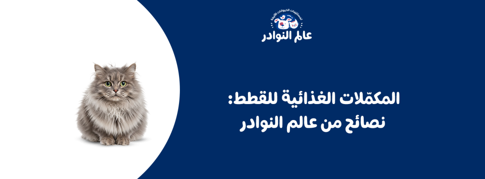 المكمّلات الغذائية للقطط: نصائح من عالم النوادر