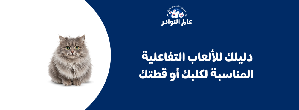 دليلك للألعاب التفاعلية المناسبة لكلبك أو قطتك