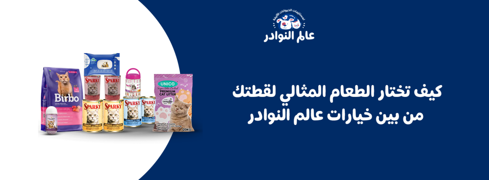 كيف تختار الطعام المثالي لقطتك من بين خيارات عالم النوادر