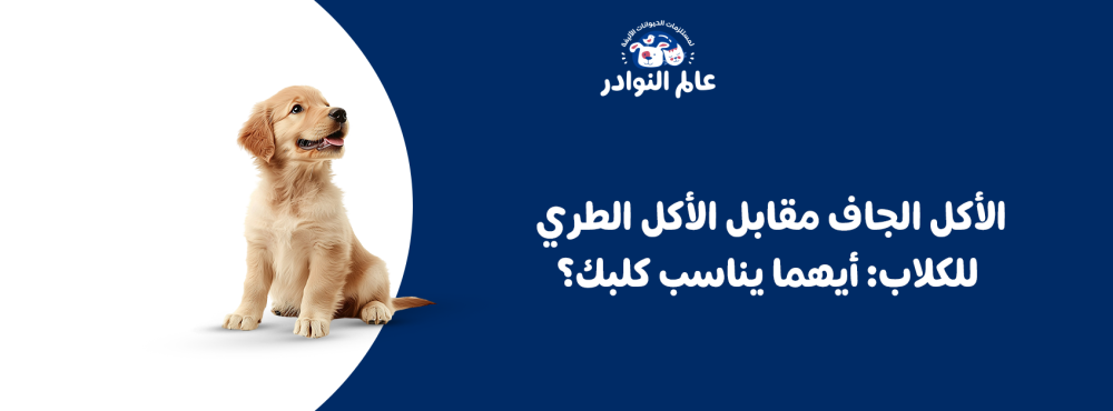 الأكل الجاف مقابل الأكل الطري للكلاب: أيهما يناسب كلبك؟