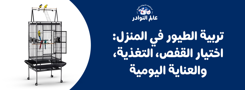 تربية الطيور في المنزل: اختيار القفص، التغذية، والعناية اليومية