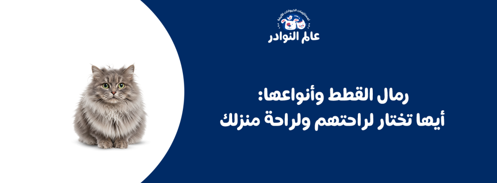 رمال القطط وأنواعها: أيها تختار لراحتهم ولراحة منزلك
