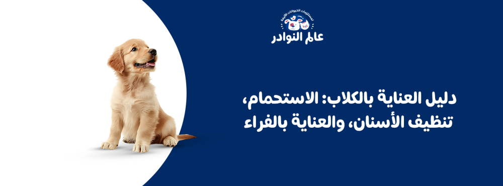 دليل العناية بالكلاب: الاستحمام، تنظيف الأسنان، والعناية بالفراء