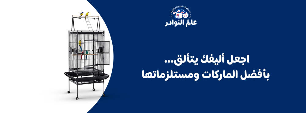 اجعل أليفك يتألق… بأفضل الماركات ومستلزماتها