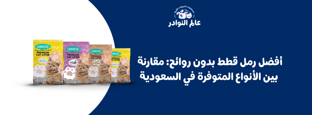 أفضل رمل قطط بدون روائح: مقارنة بين الأنواع المتوفرة في السعودية