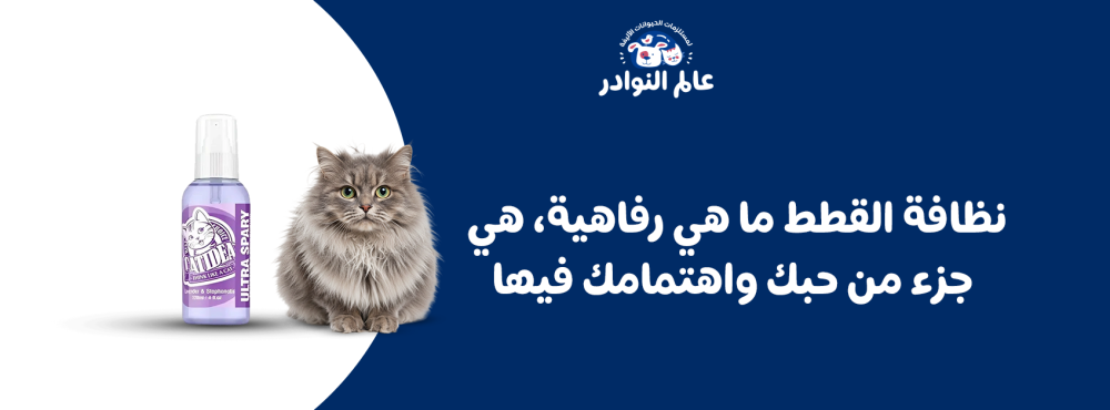 نظافة القطط ما هي رفاهية، هي جزء من حبك واهتمامك فيها