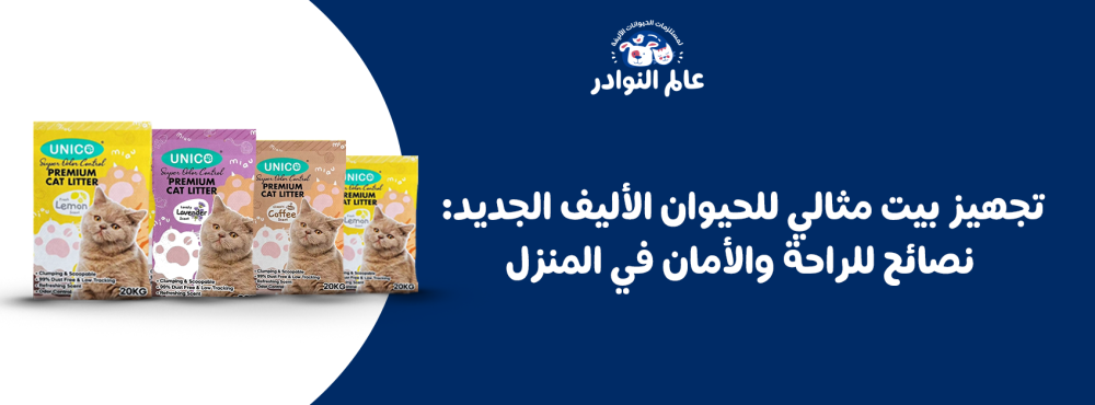 تجهيز بيت مثالي للحيوان الأليف الجديد: نصائح للراحة والأمان