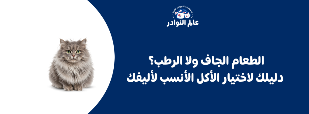 الطعام الجاف ولا الرطب؟ دليلك لاختيار الأكل الأنسب لأليفك