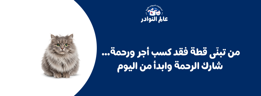 من تبنّى قطة فقد كسب أجر ورحمة… شارك الرحمة وابدأ من اليوم