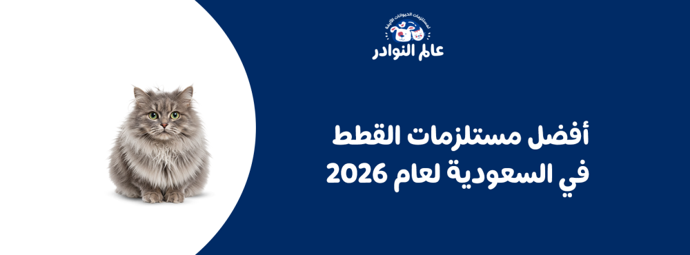 أفضل مستلزمات القطط في السعودية لعام 2026