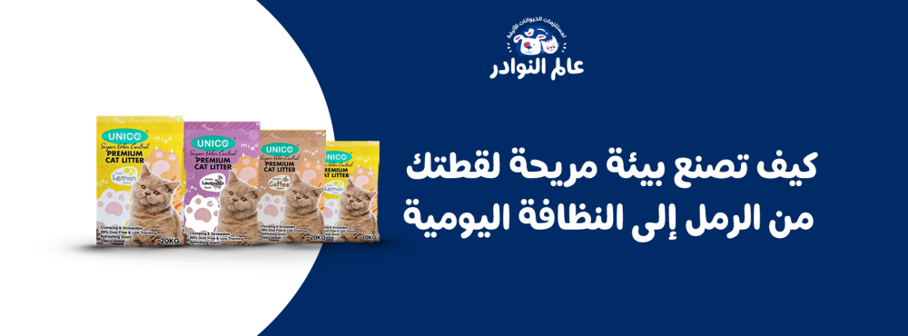 كيف تصنع بيئة مريحة لقطتك من الرمل إلى النظافة اليومية