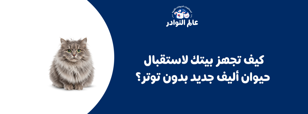 كيف تجهز بيتك لاستقبال حيوان أليف جديد بدون توتر