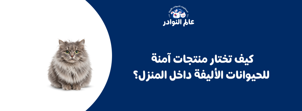 كيف تختار منتجات آمنة للحيوانات الأليفة داخل المنزل؟