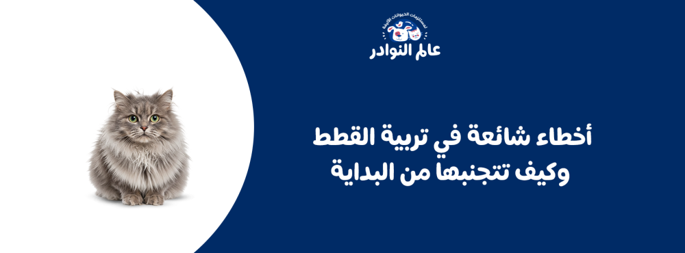 أخطاء شائعة في تربية القطط وكيف تتجنبها من البداية
