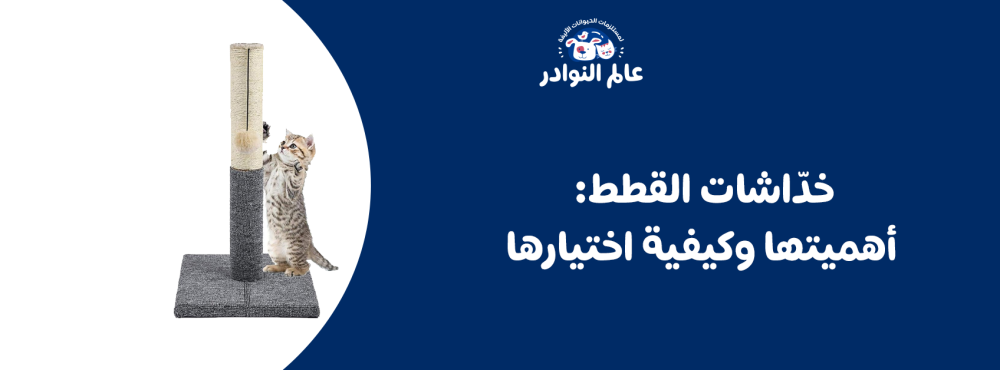 خدّاشات القطط: أهميتها وكيفية اختيارها