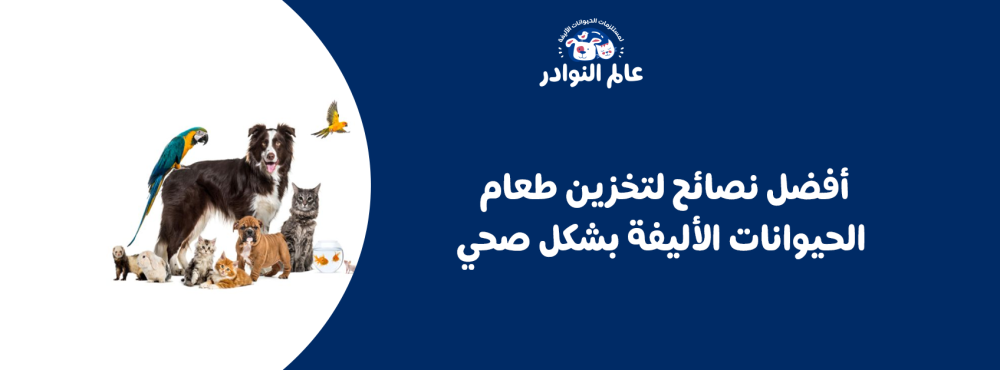 أفضل نصائح لتخزين طعام الحيوانات الأليفة بشكل صحي