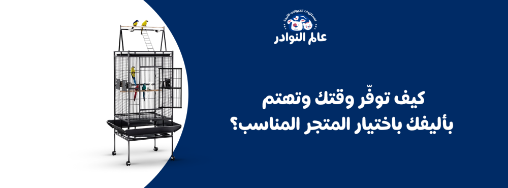 كيف توفّر وقتك وتهتم بأليفك باختيار المتجر المناسب؟