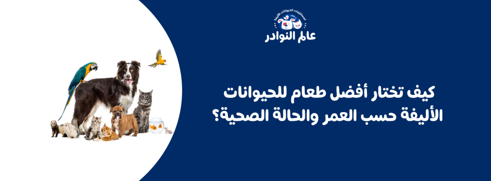 كيف تختار أفضل طعام للحيوانات الأليفة حسب العمر والحالة الصحية