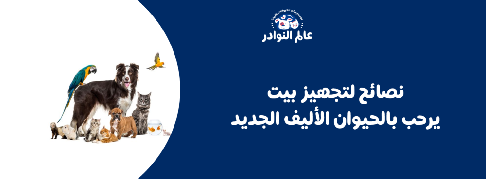 نصائح لتجهيز بيت يرحب بالحيوان الأليف الجديد