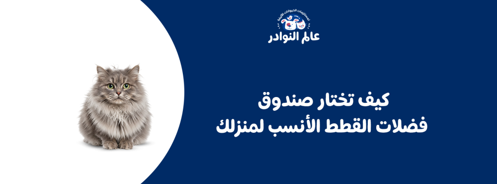 كيف تختار صندوق فضلات القطط الأنسب لمنزلك