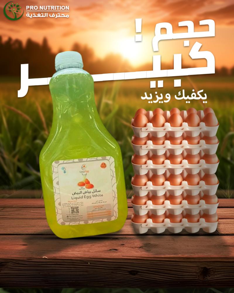 إيزي إج وايت | سائل بياض بيض نقي 100% | بروتين صافي