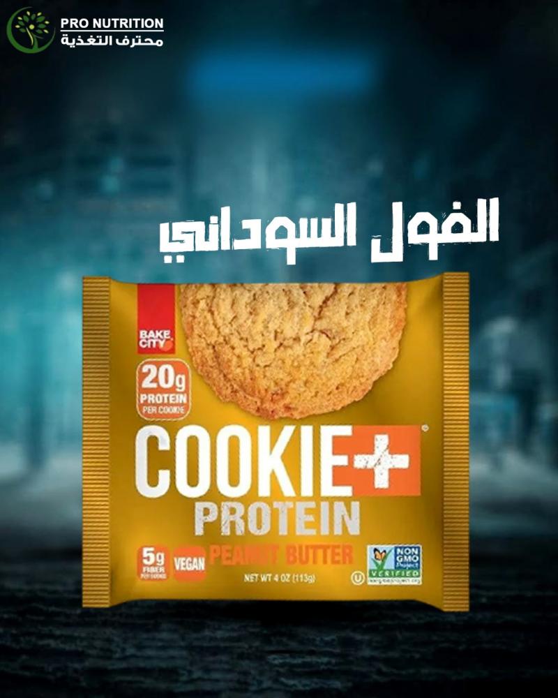 فول سوداني