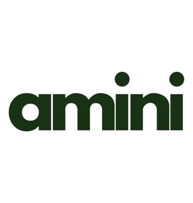 أميني | AMINI