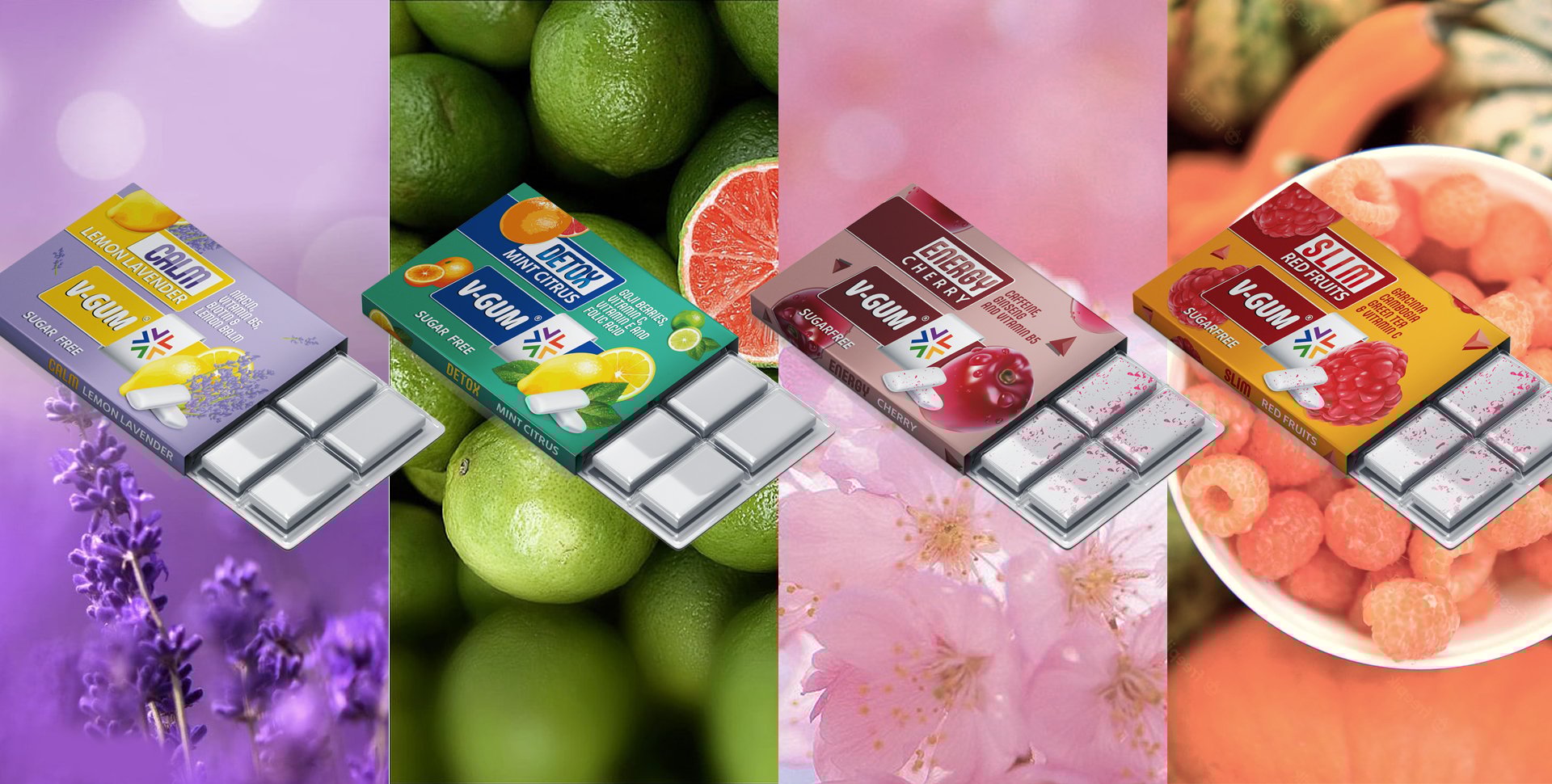 V - GUM