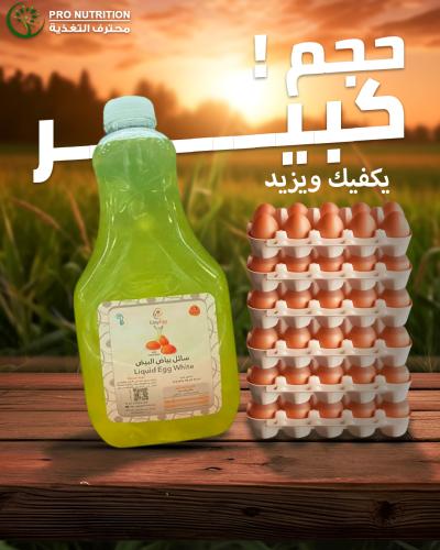 إيزي إج سائل بياض البيض