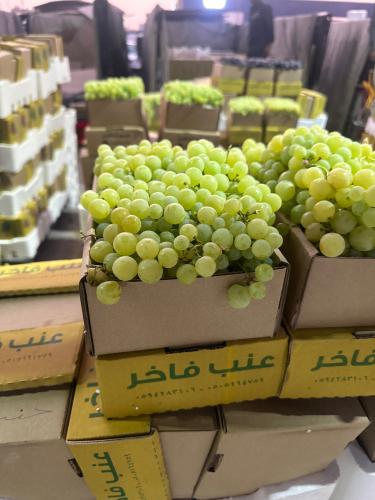 عنب اخضر حايل