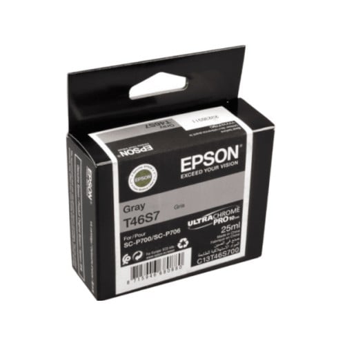 Epson T46S7 Gray Ink Cartridge for P700 Printer