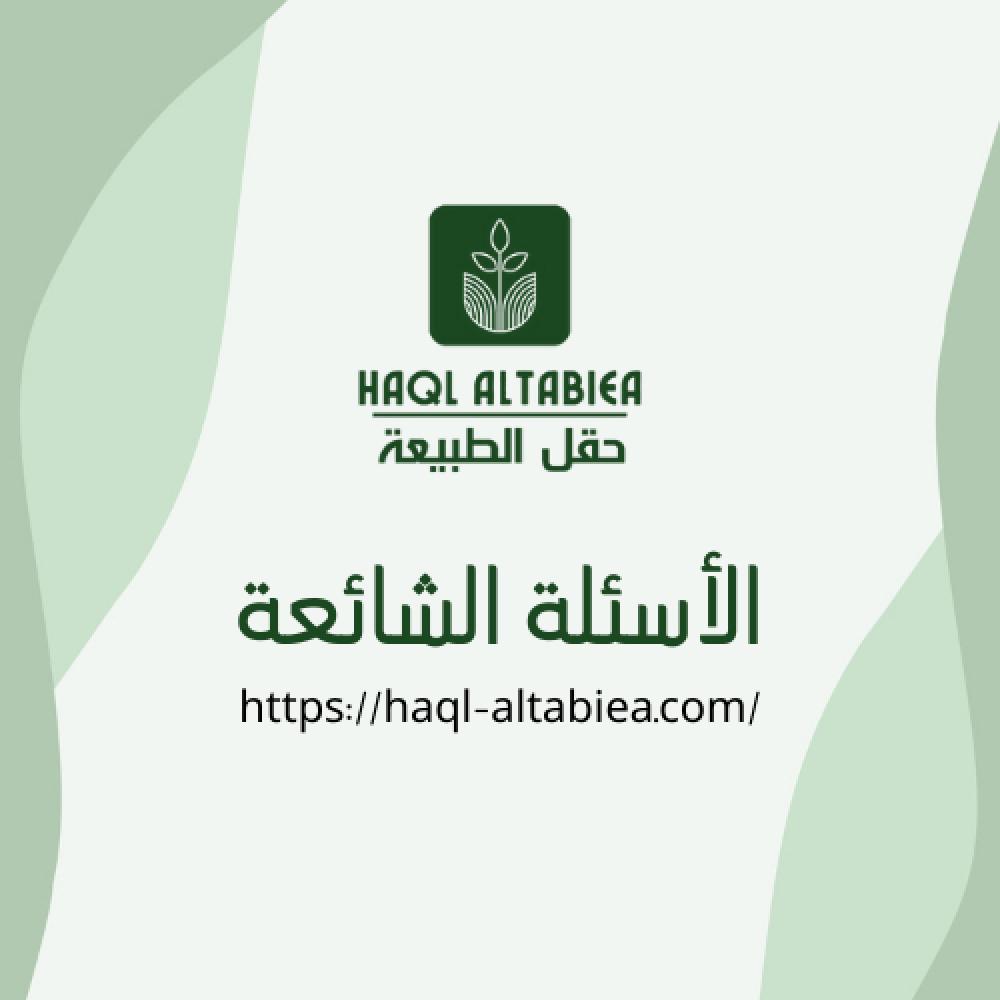 الأسئلة الشائعة