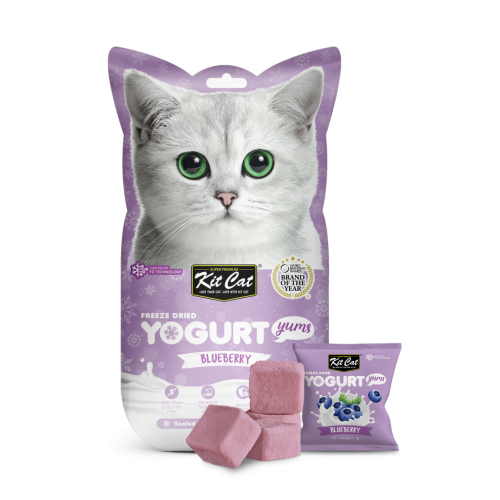 Kit Cat Freeze Dried Yogurt Yums Blueberry 10x1g ك...