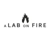 A LAB ON FIRE
