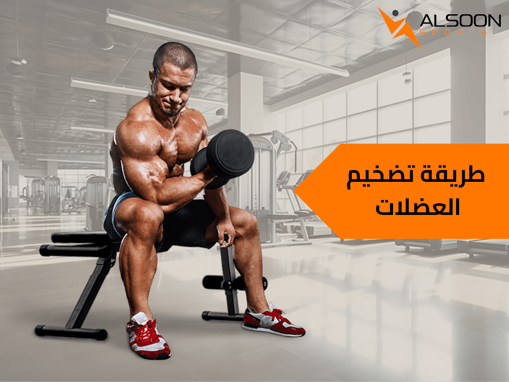 طريقة تضخيم العضلات