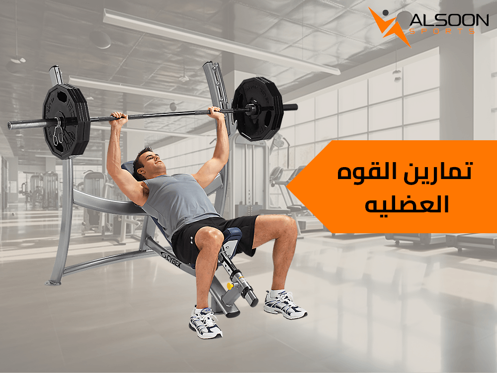Strength Training Exercises