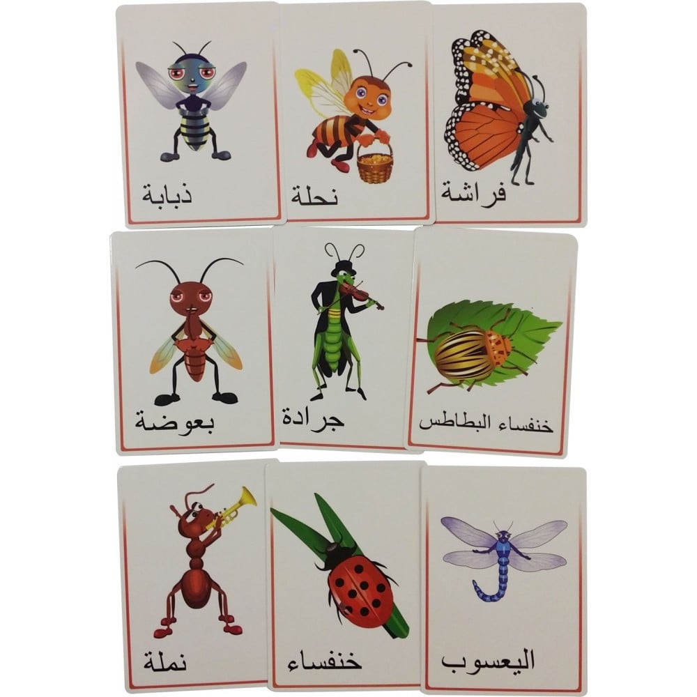 كروت تعليمية للحشرات للأطفال تساعد على التعلم بمرح