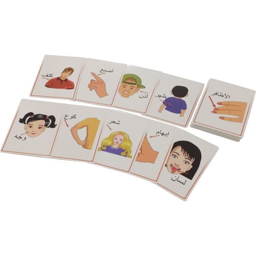 كروت تعليمية - اجزاء الجسم - تخاطب وتواصل